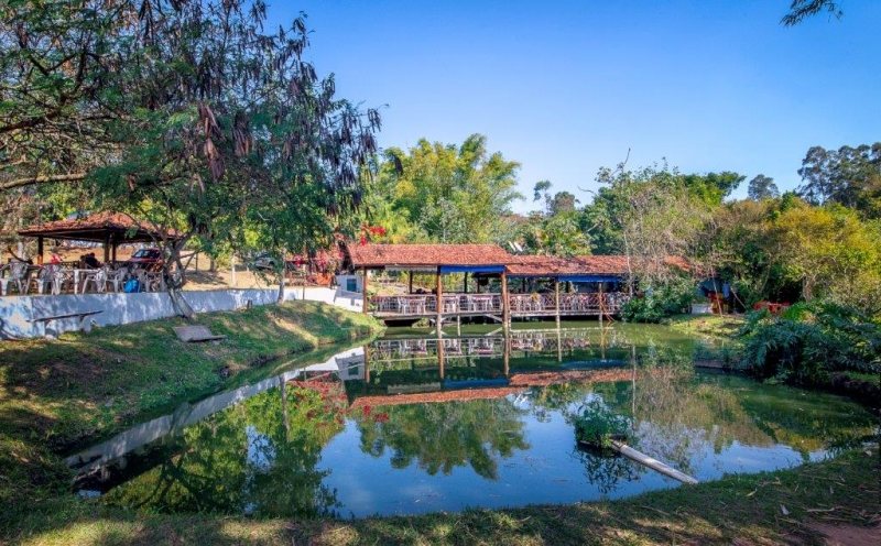 O tanque do pesqueiro, com o deck de madeira e o quiosque coberto entre as árvores